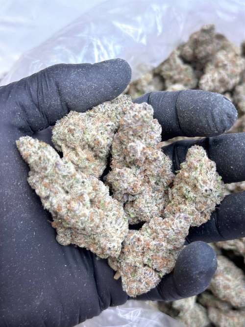 Super Boof V2- Living Soil-Lucky's Favorite's Pick!!!