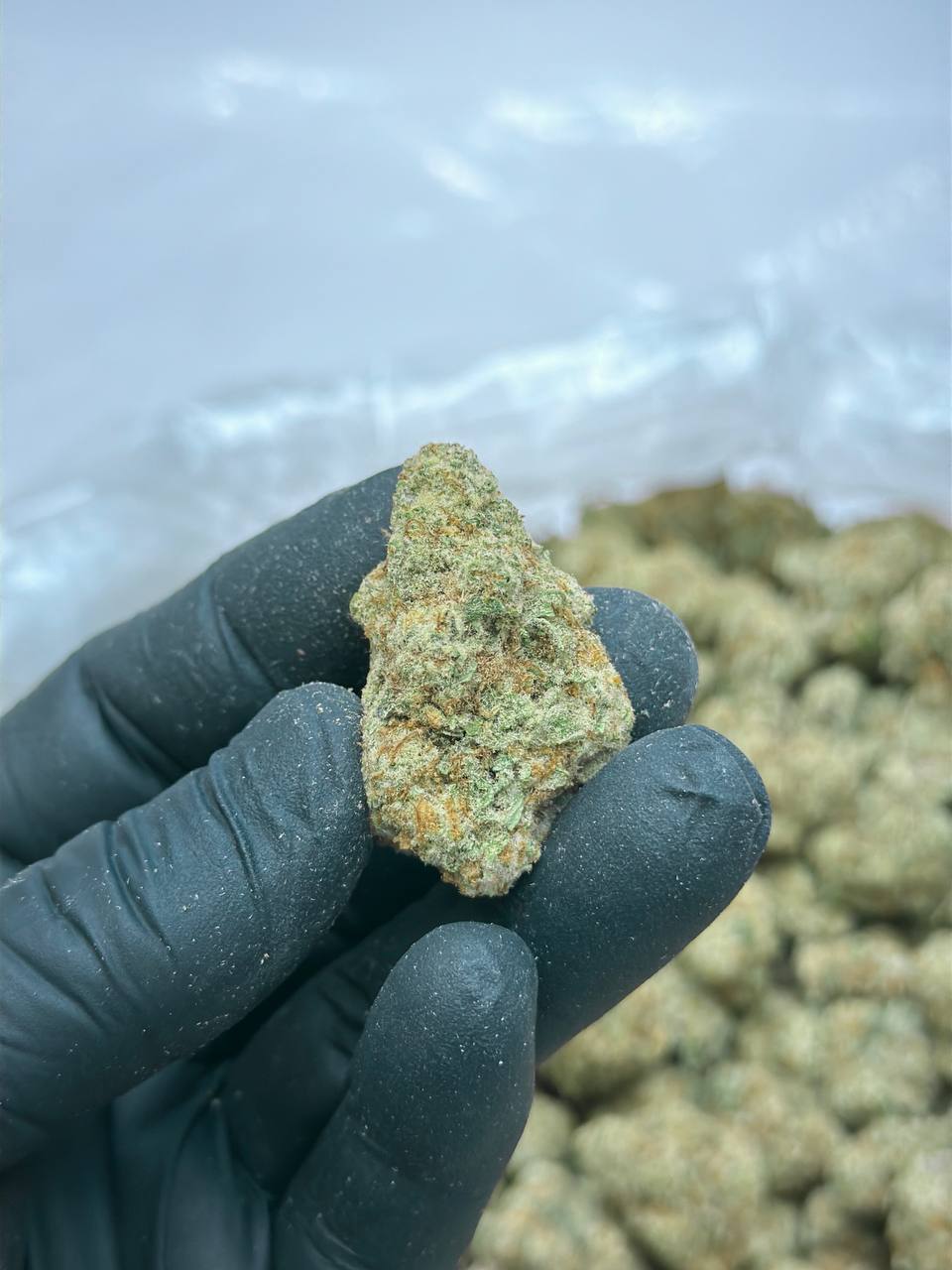 Garlic Cake - Image 2