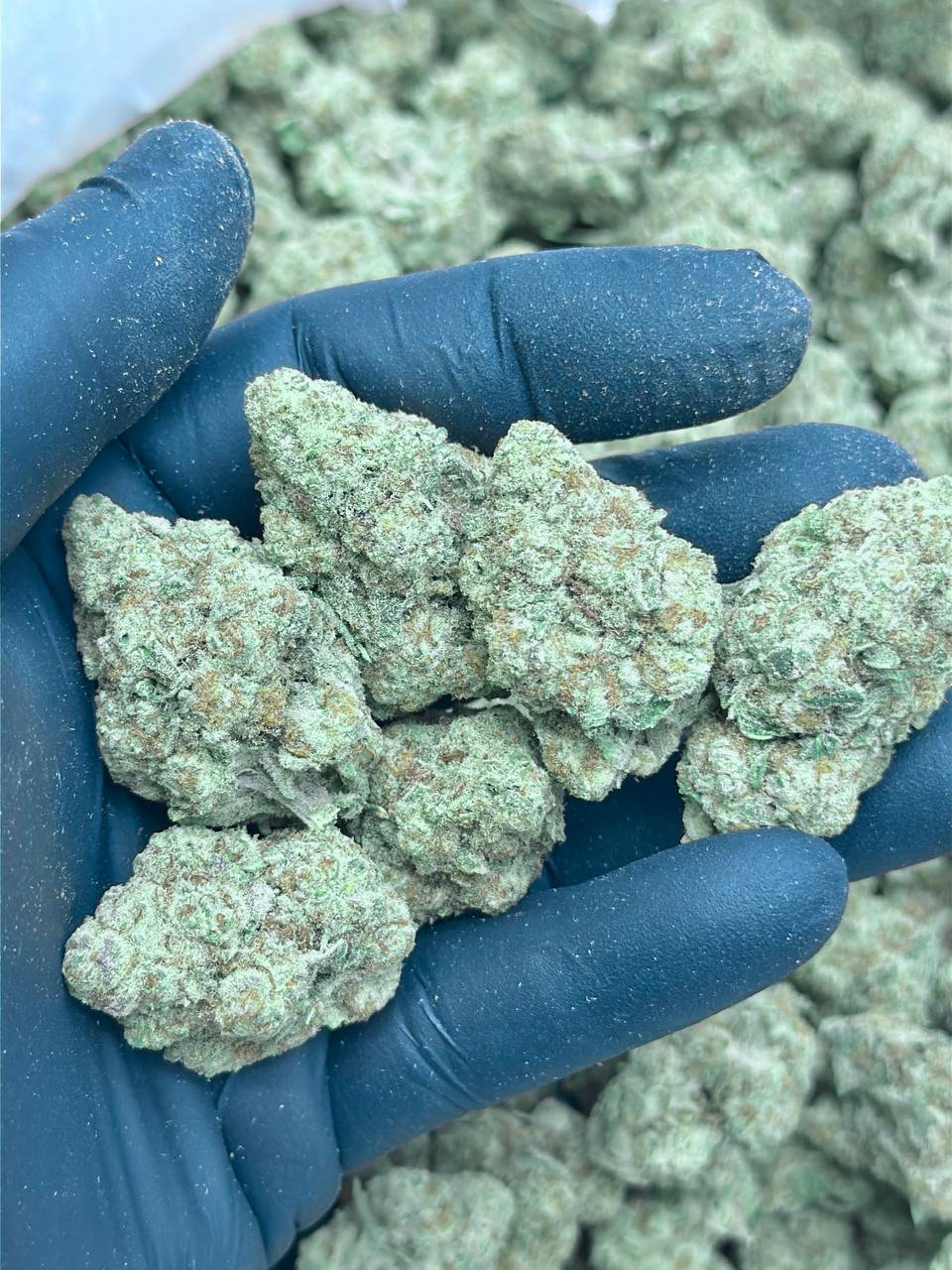 Garlic Cake - Image 3