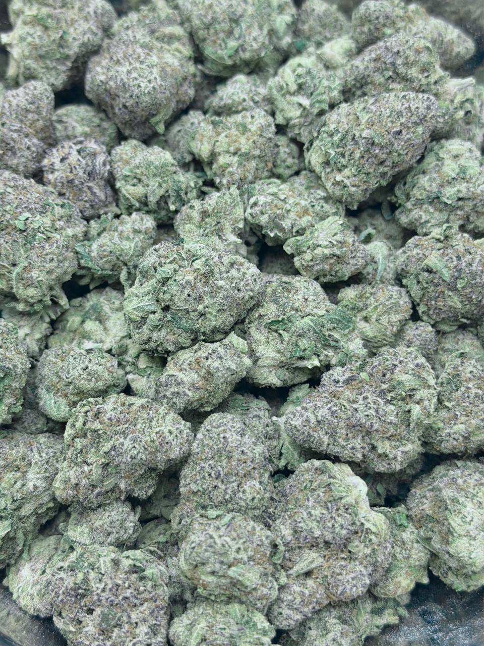 Gorilla Cake - Image 3