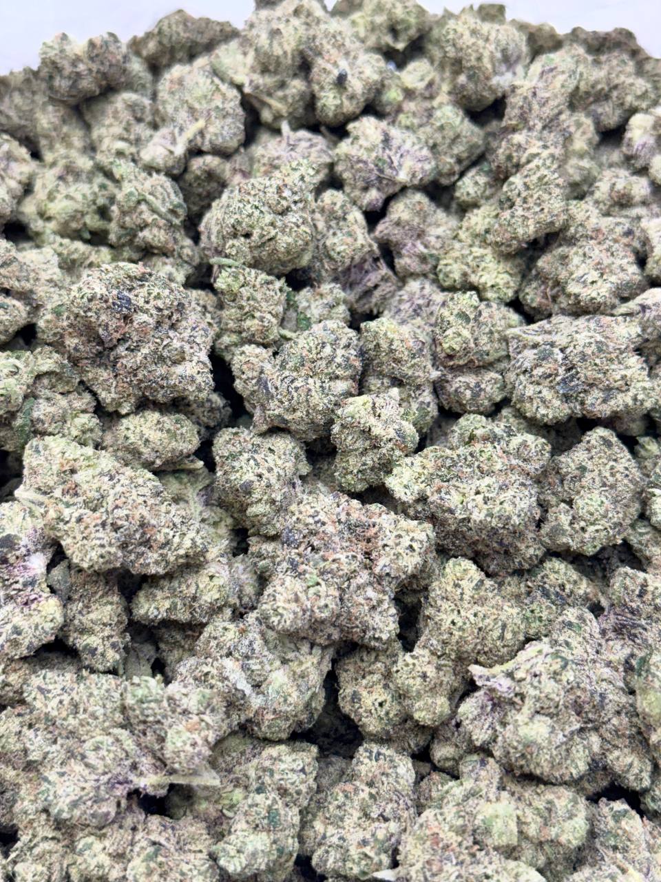 Blueberry Jam- Living Soil - Image 3