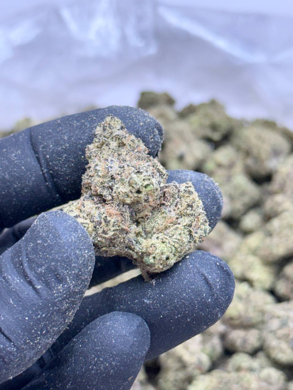 Blueberry Jam- Living Soil