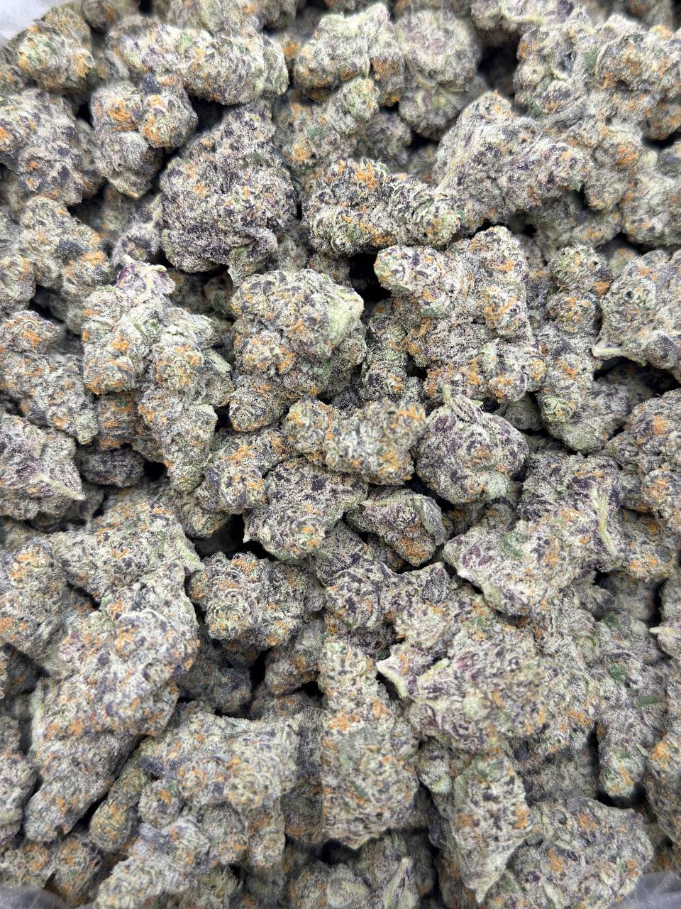 Dank Dough- Living Soil - Image 2