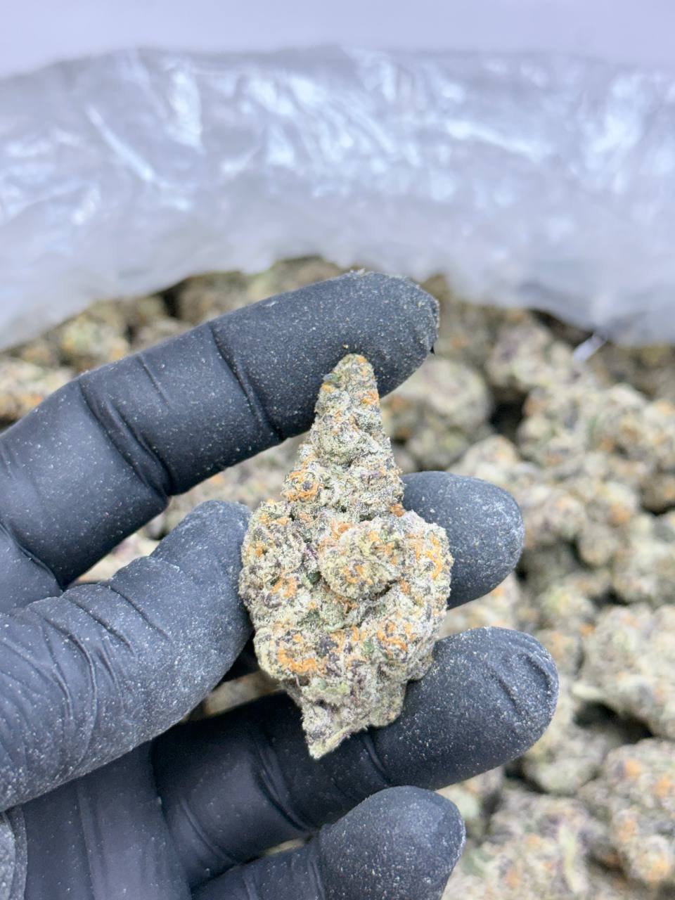 Dank Dough- Living Soil - Image 3