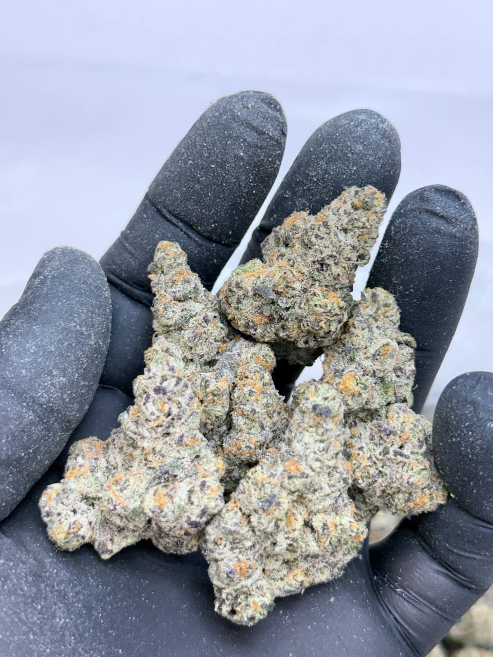 Dank Dough- Living Soil