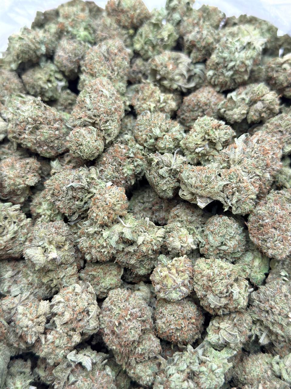 Platinum Kush BUDGET - Image 3