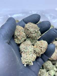 Platinum Kush BUDGET