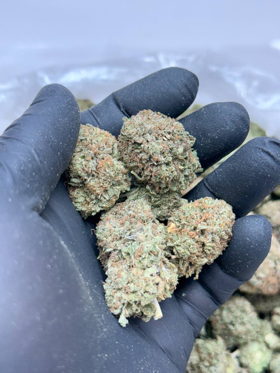 Platinum Kush BUDGET