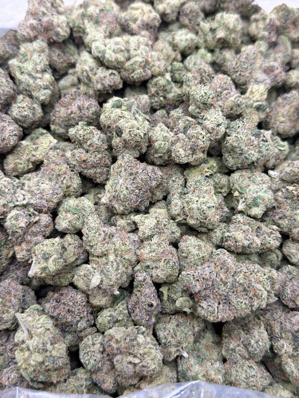 Melon Fizz - Image 2