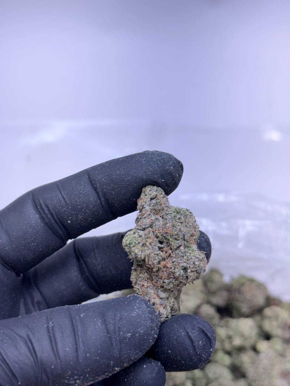 Melon Fizz - Image 3