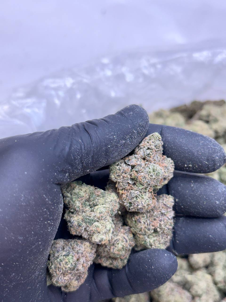 Melon Fizz - Image 4