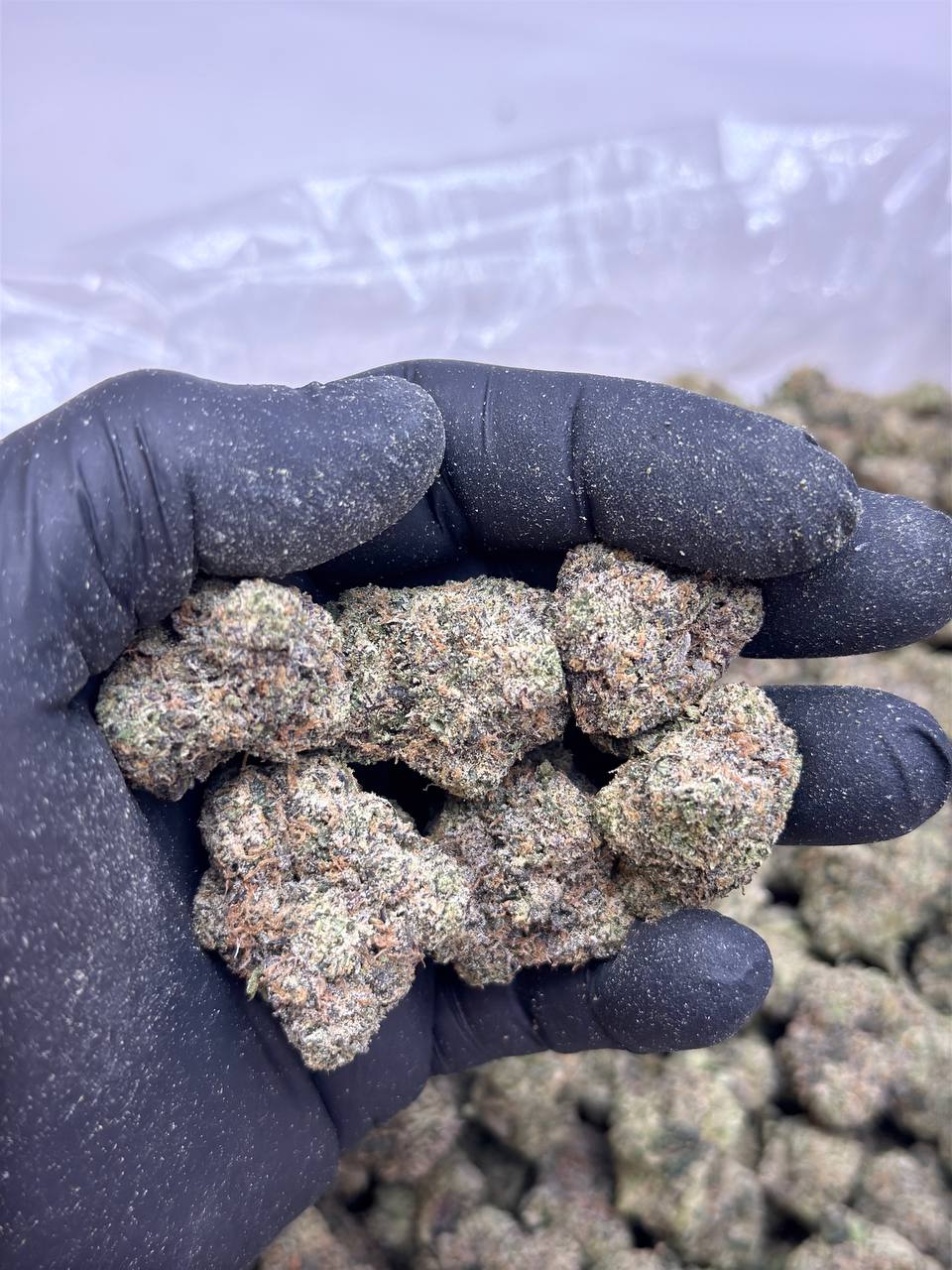 Cherry Fuel - Image 2