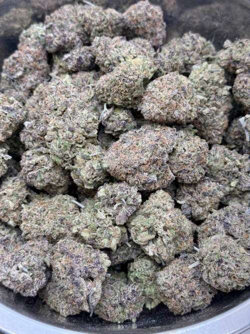 Chocolate Chunk