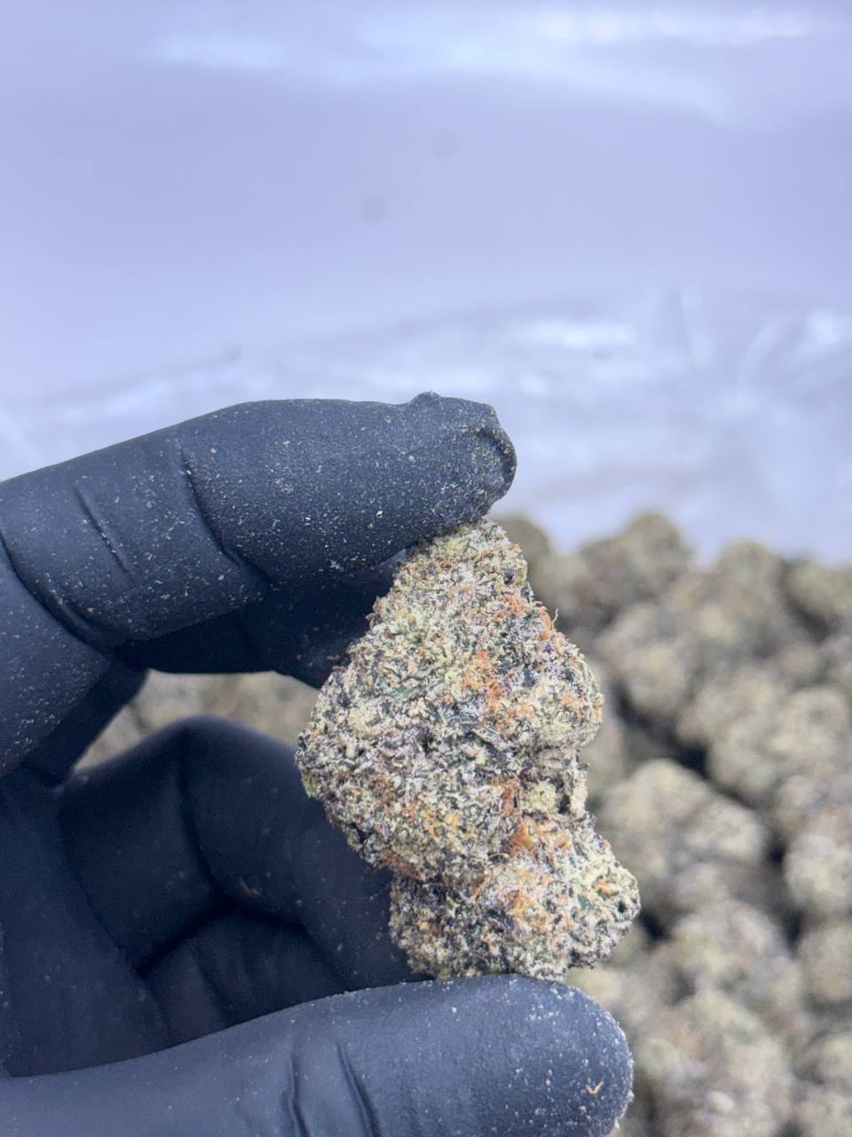 Lemon Face - Image 2