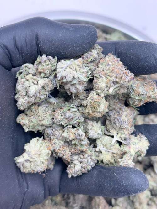 Strawberry Cough BUDGET